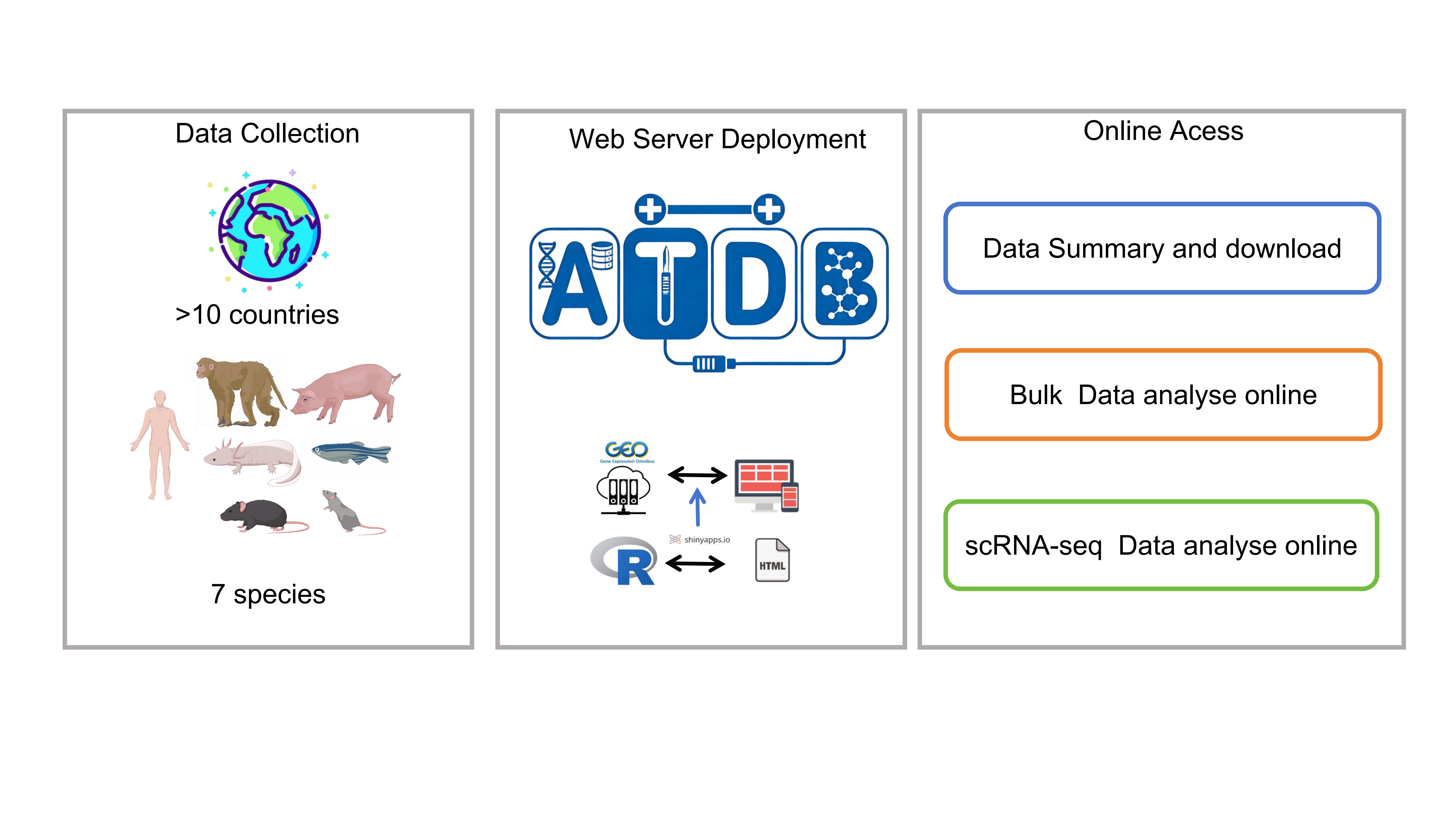 Data Processing Flow Diagram